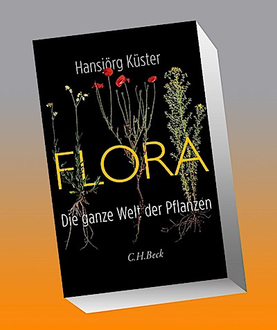Flora