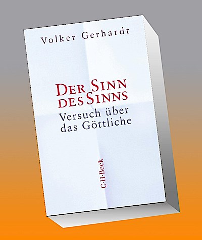Der Sinn des Sinns