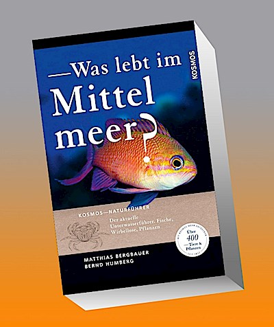 Was lebt im Mittelmeer?