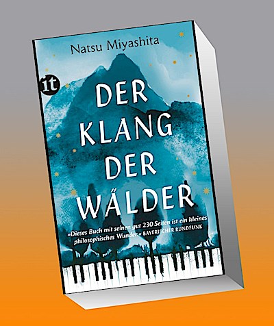 Der Klang der Wälder: Roman | Ein Schmöker voller Poesie über die alles verändernde Kraft der Musik (insel taschenbuch)