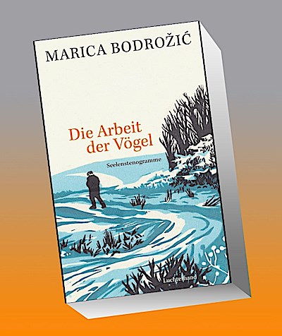 Die Arbeit der Vögel