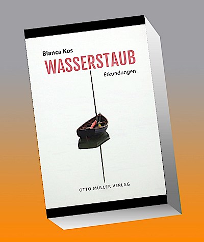 Wasserstaub