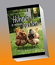 Hühner in meinem Garten