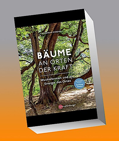 Bäume an Orten der Kraft