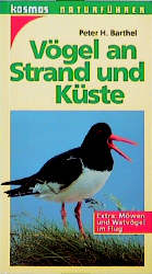 Vögel an Strand und Küste. Extra: Möwen und Watvögel im Flug