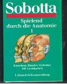 Spielend durch die Anatomie: Knochen, Bänder, Gelenke